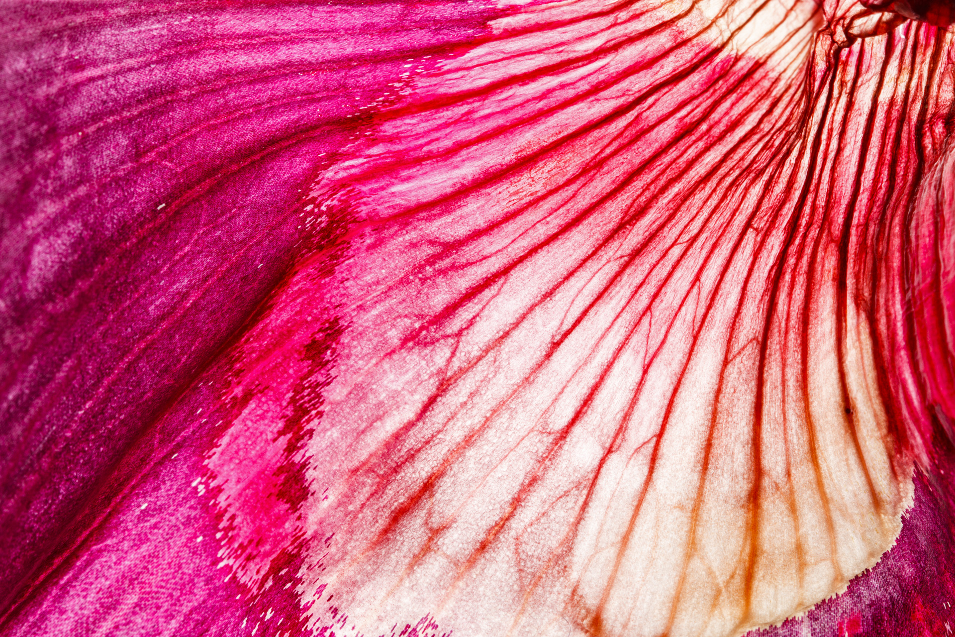 Fotografía artistica 12