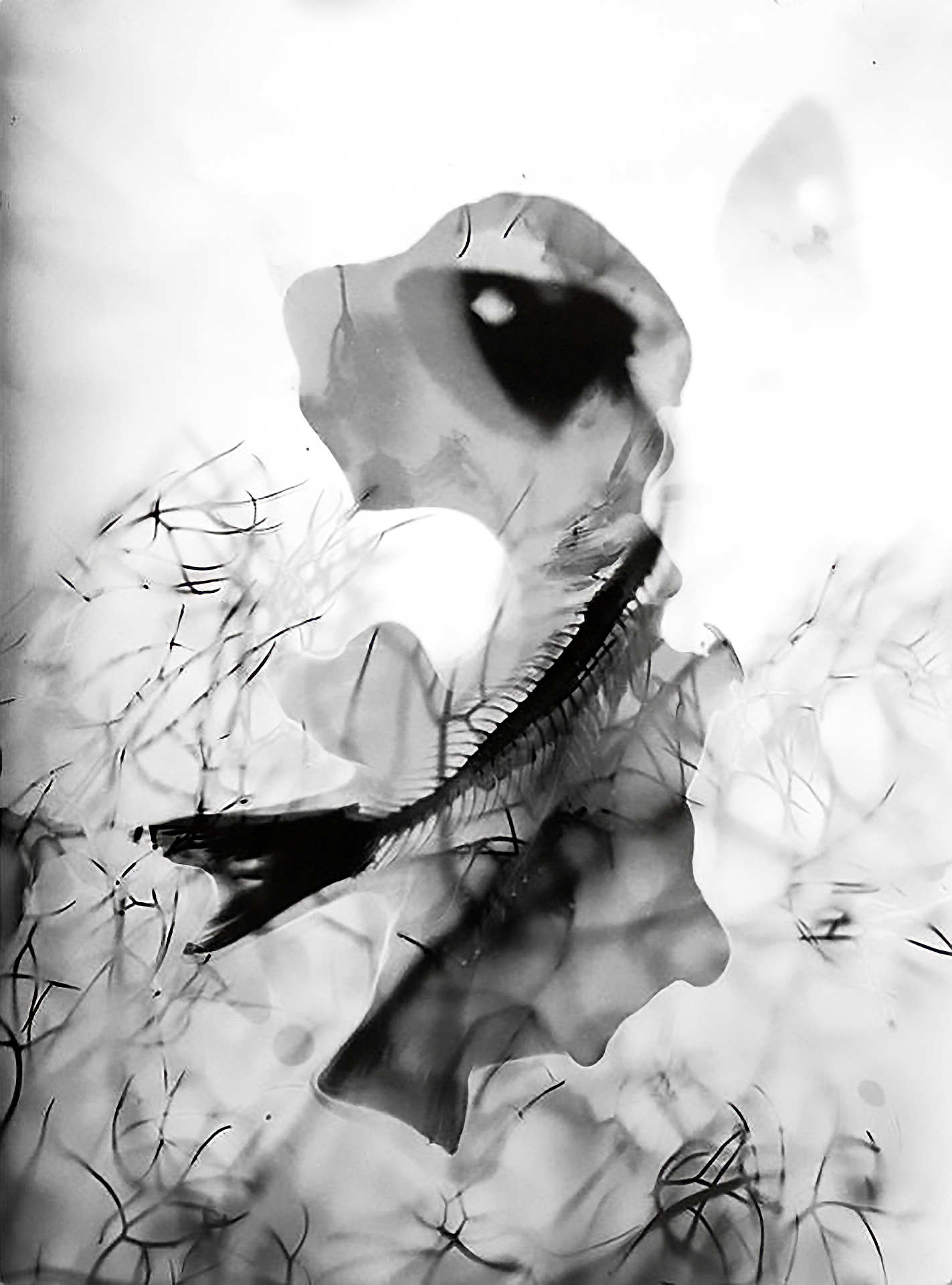 Fotografía artistica 3