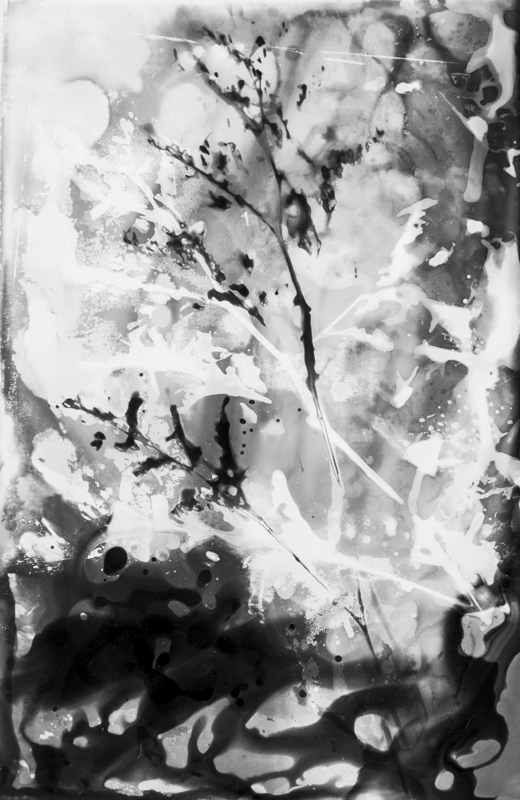 Fotografía artistica 5