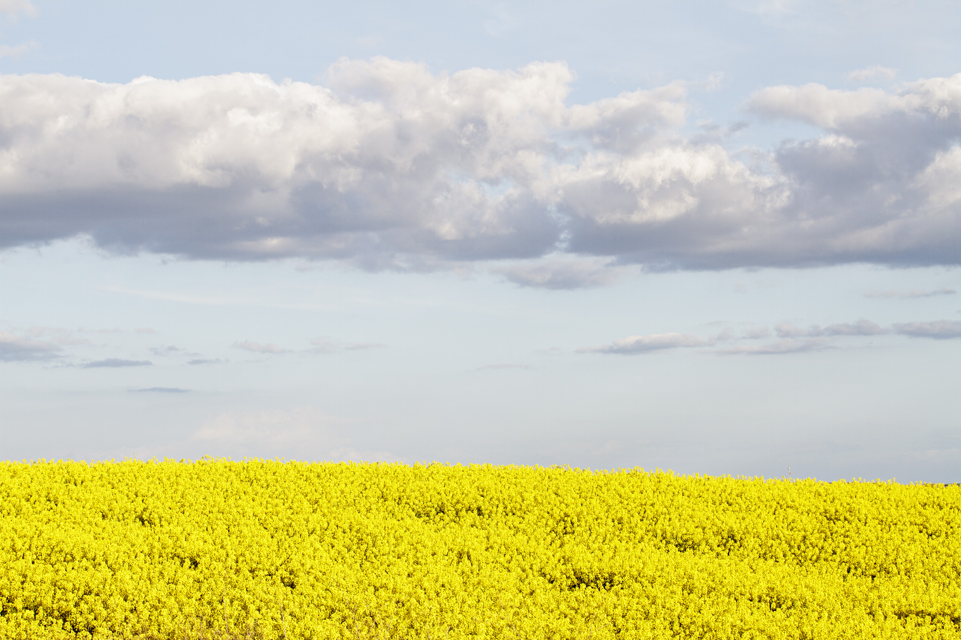 Fotografía artistica 8