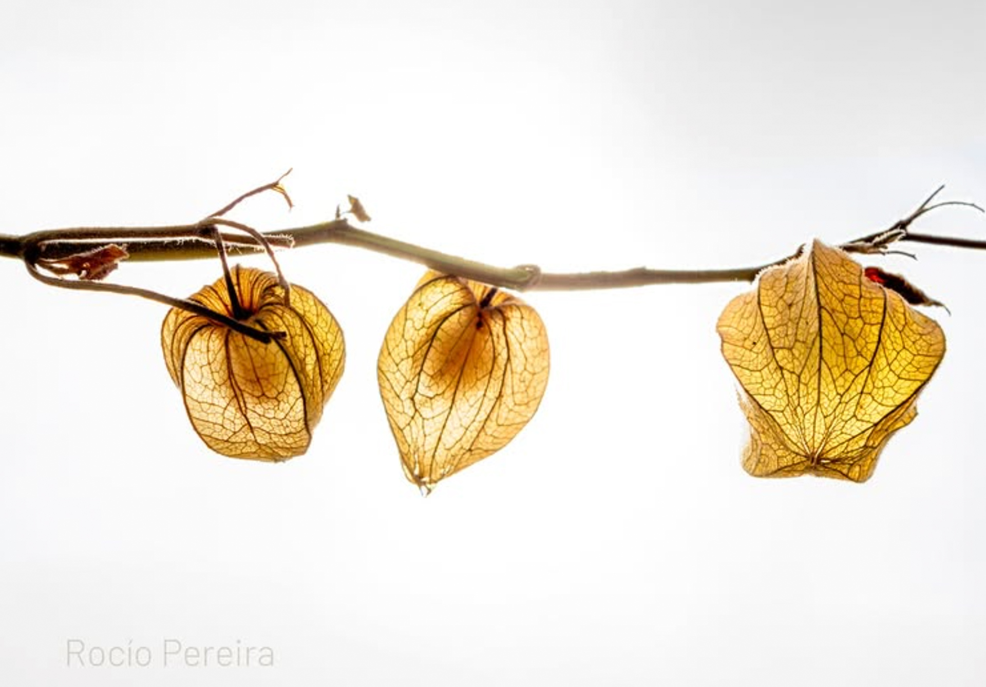 Fotografía empresa 12