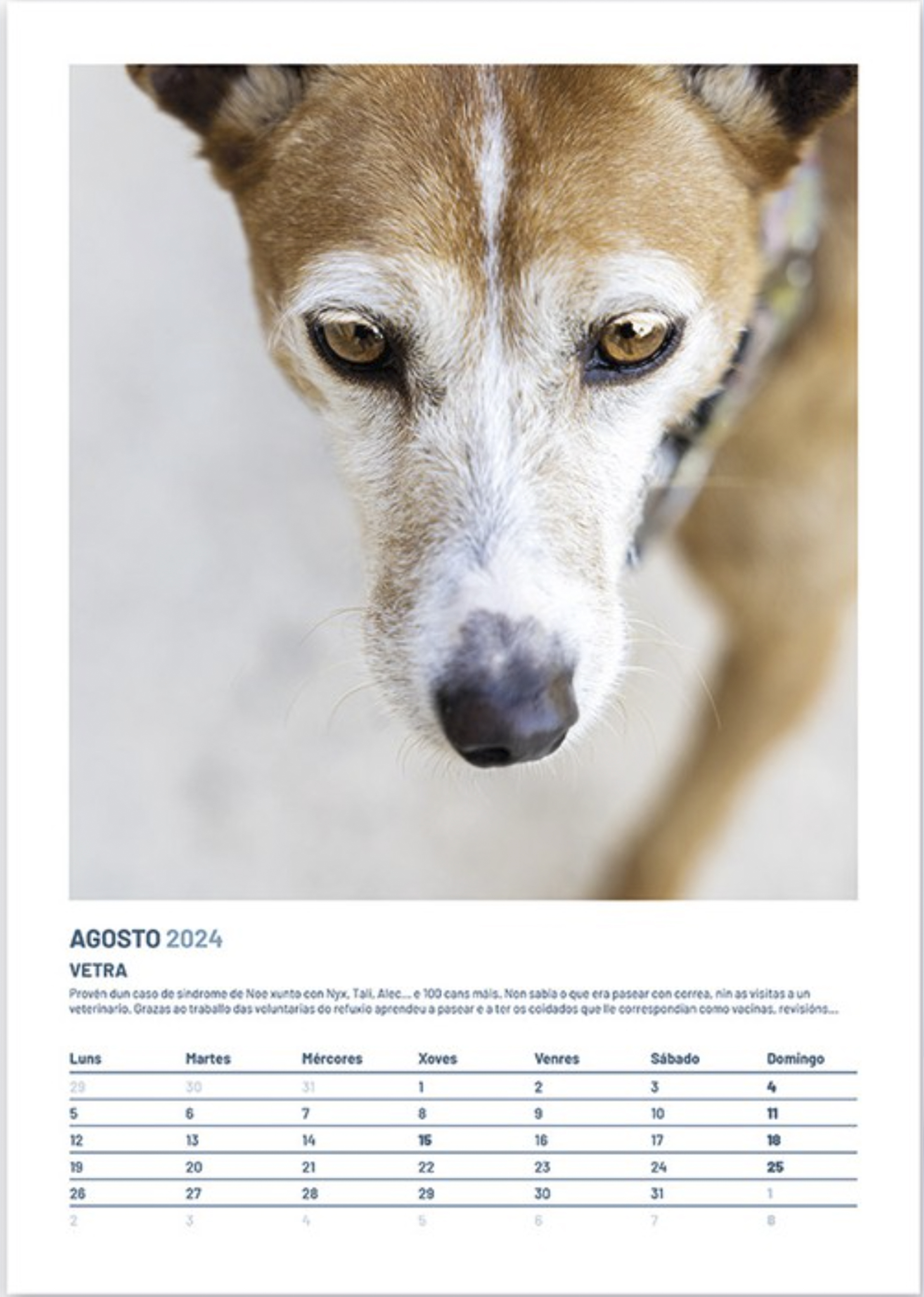 Fotografía empresa 15