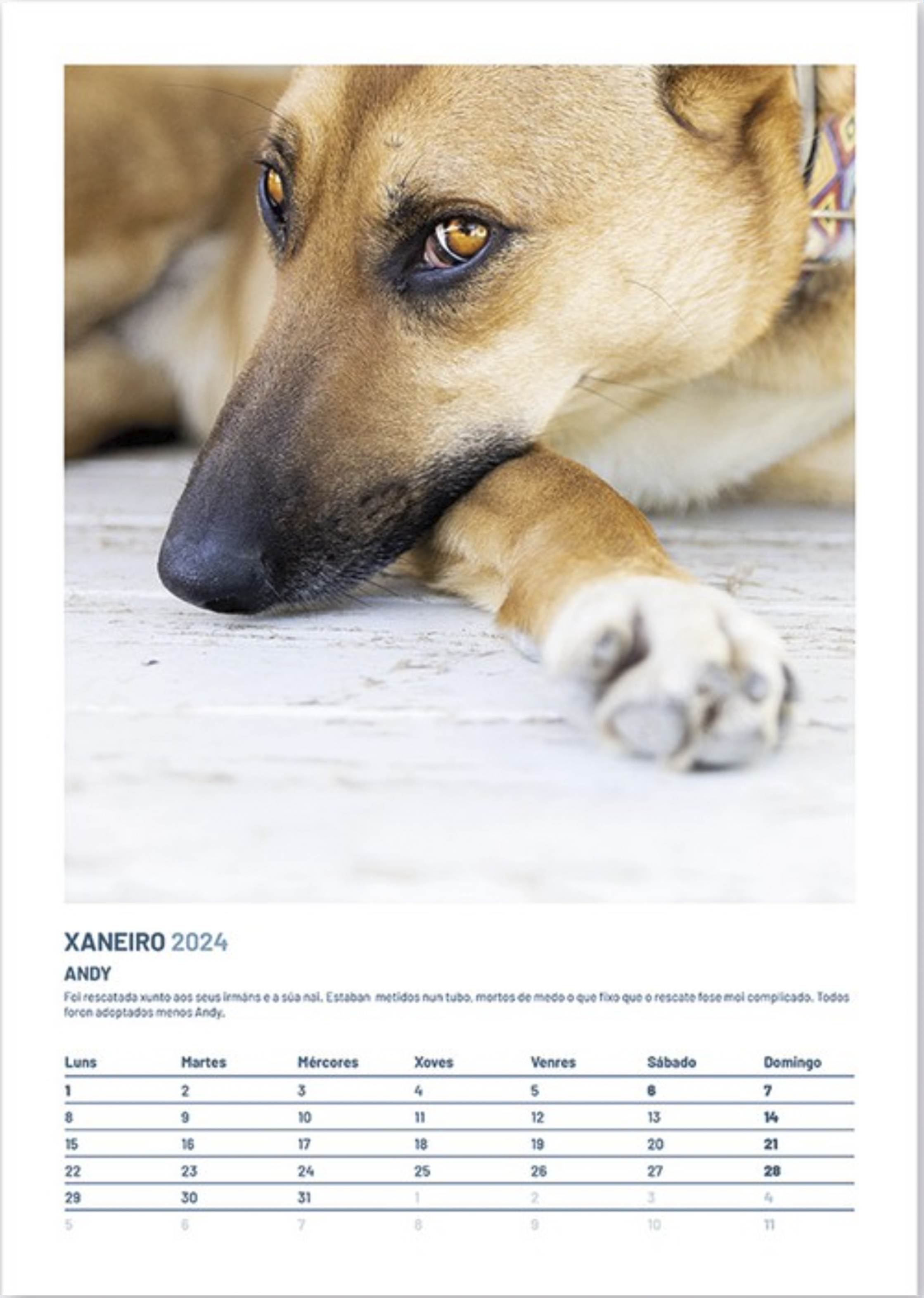 Fotografía empresa 16