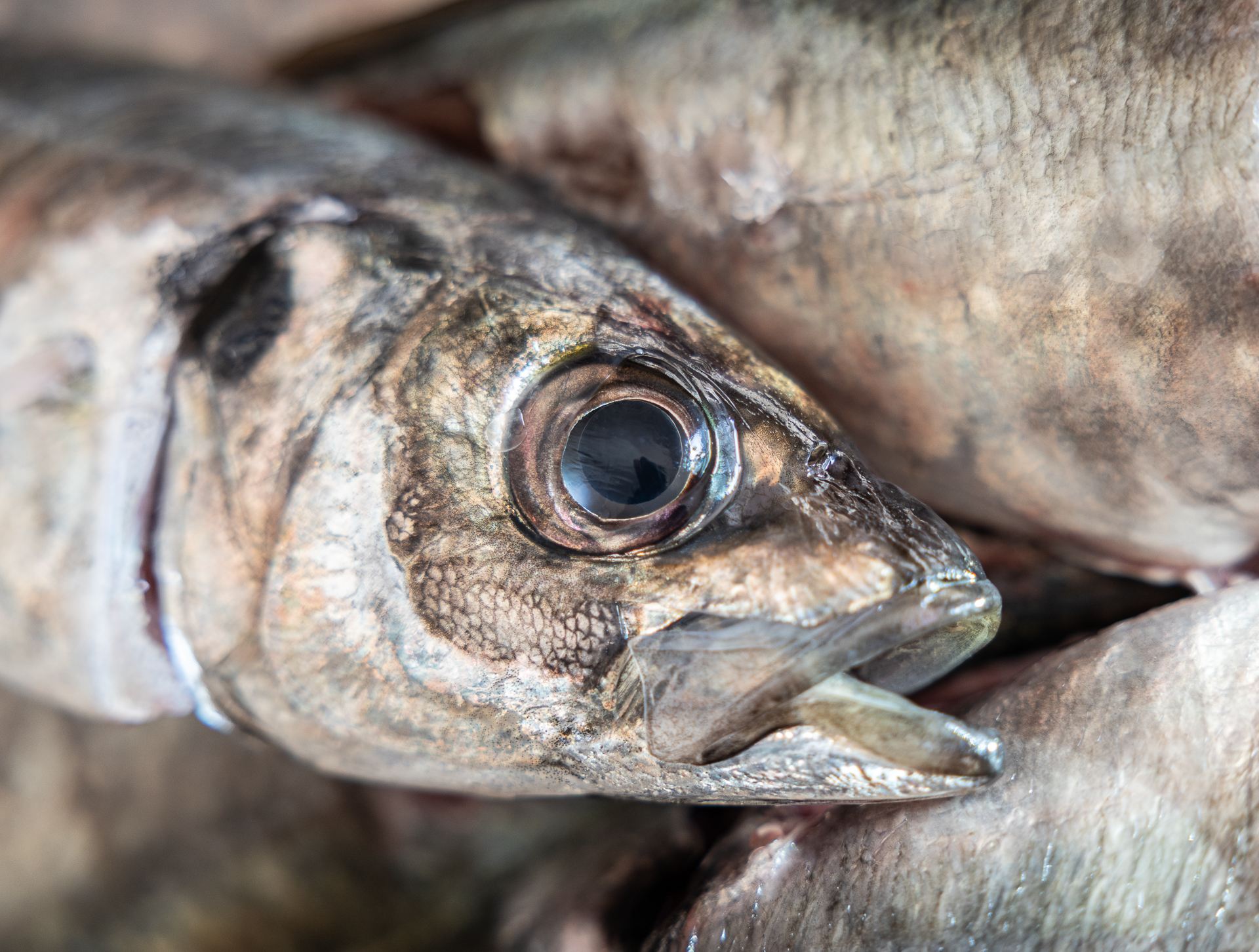 Fotografía empresa 7