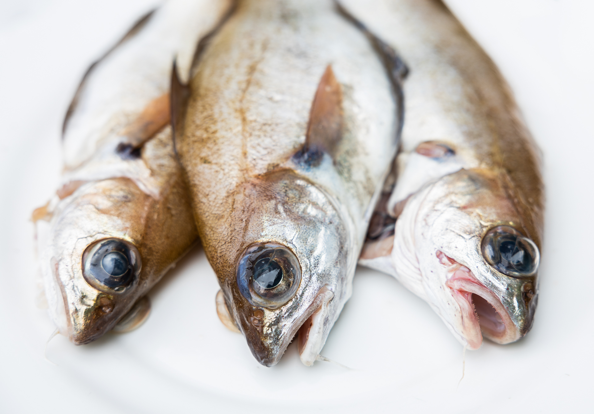 Fotografía empresa 8