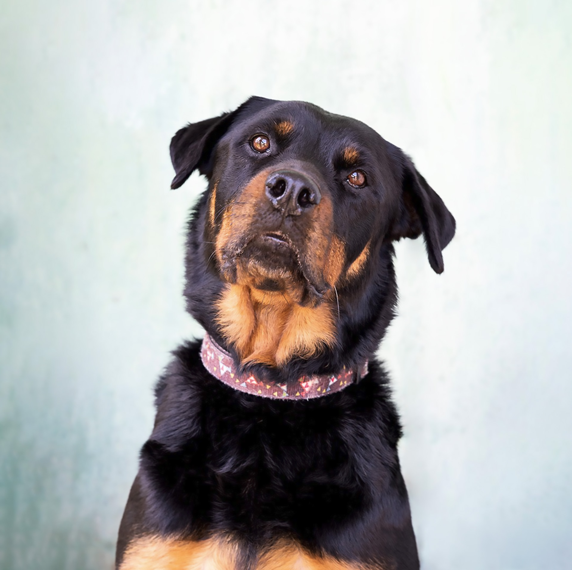 Fotografía social 20